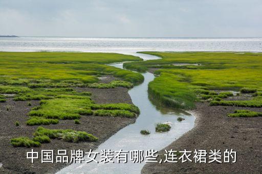中国品牌女装有哪些,连衣裙类的