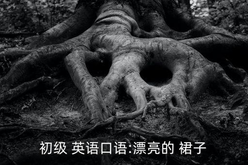 初级 英语口语:漂亮的 裙子