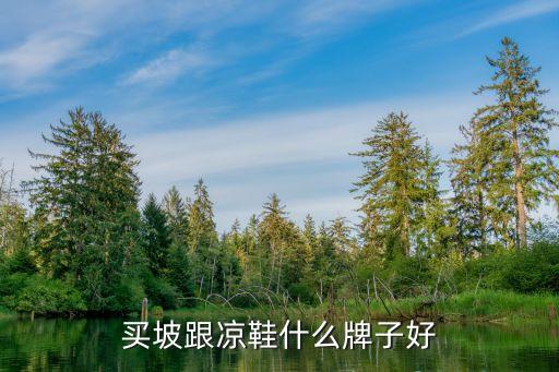买坡跟凉鞋什么牌子好