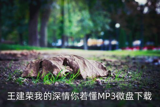 王建荣我的深情你若懂MP3微盘下载