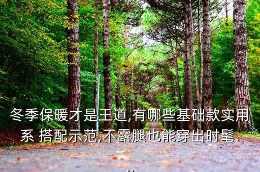 冬季保暖才是王道,有哪些基础款实用系 搭配示范,不露腿也能穿出时髦...