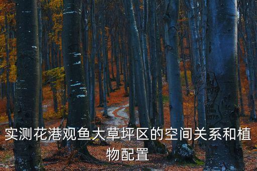 实测花港观鱼大草坪区的空间关系和植物配置