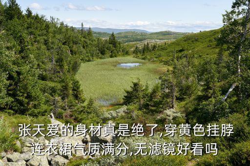  张天爱的身材真是绝了,穿黄色挂脖连衣裙气质满分,无滤镜好看吗