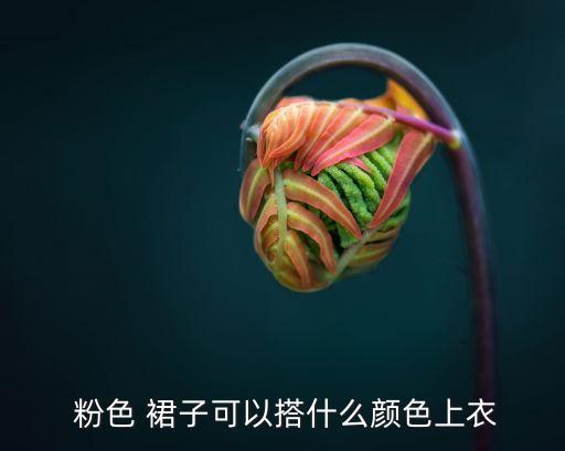  粉色 裙子可以搭什么颜色上衣