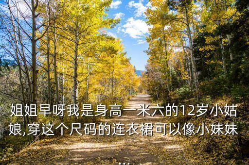 姐姐早呀我是身高一米六的12岁小姑娘,穿这个尺码的连衣裙可以像小妹妹...
