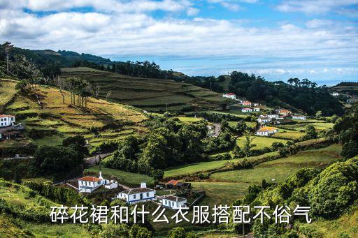 碎花摆裙子配什么上衣,碎花裙子配什么包包