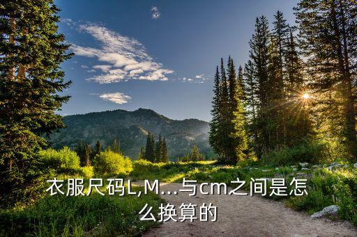 L的裙子和M的差多少,裙子160和165差多少呀