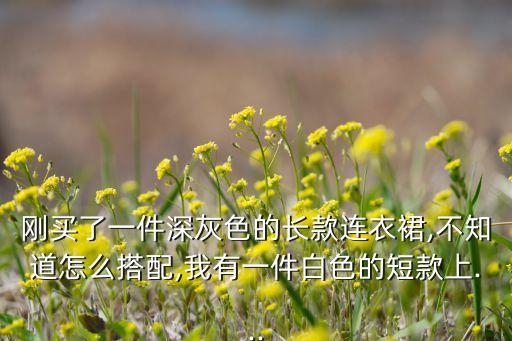 刚买了一件深灰色的长款连衣裙,不知道怎么搭配,我有一件白色的短款上...