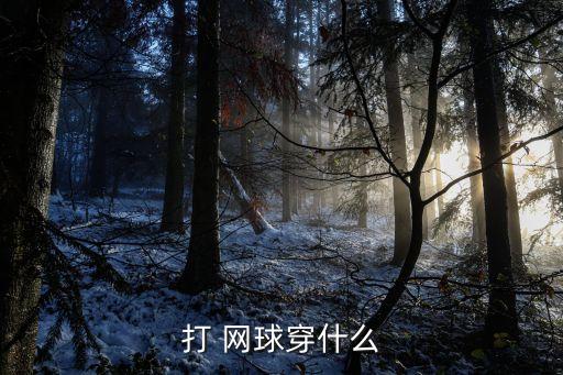 打 网球穿什么
