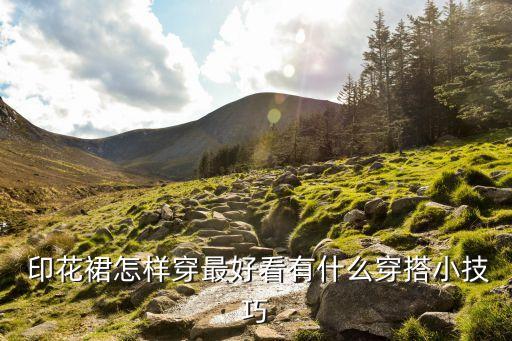 复古休闲印花裙子搭配,水墨印花裙子搭配什么上衣
