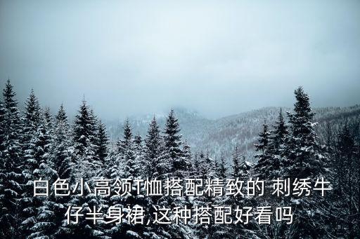  白色小高领T恤搭配精致的 刺绣牛仔半身裙,这种搭配好看吗