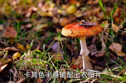 卡其色半身裙配上衣图片