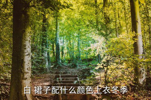 白色裙子的简单搭配图,白色毛呢裙子搭配图