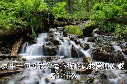其中一句《我会毫不犹豫说我爱你》歌名叫什么