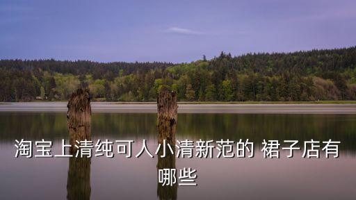 淘宝上清纯可人小清新范的 裙子店有哪些