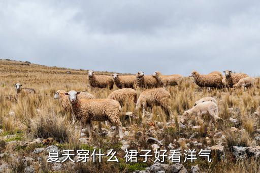 夏天穿什么 裙子好看洋气