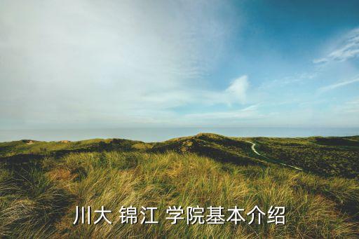 川大 锦江 学院基本介绍
