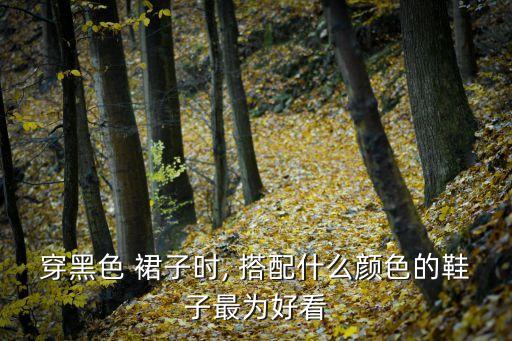 秋天裙子搭配马丁靴图片,马丁靴搭配什么裙子好看冬季