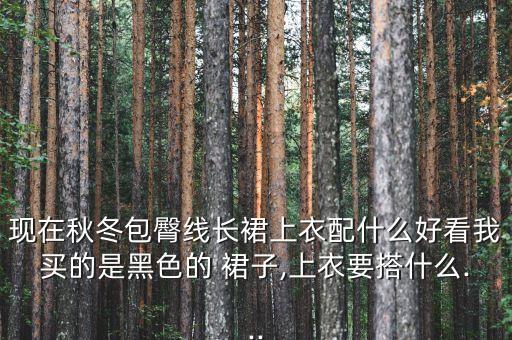 现在秋冬包臀线长裙上衣配什么好看我买的是黑色的 裙子,上衣要搭什么...