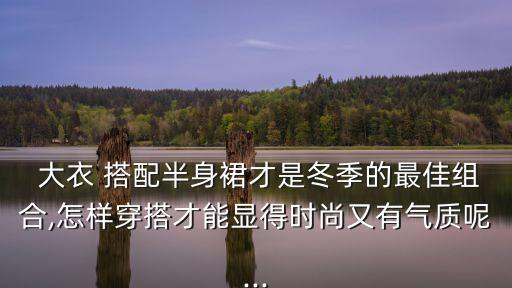 大衣搭配裙子图,深蓝色大衣搭配什么裙子好看