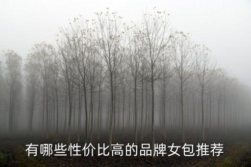 有哪些性价比高的品牌女包推荐