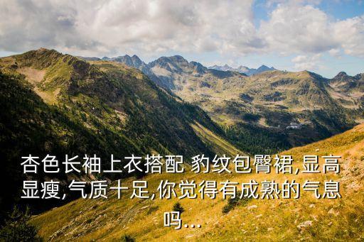 杏色长袖上衣搭配 豹纹包臀裙,显高显瘦,气质十足,你觉得有成熟的气息吗...
