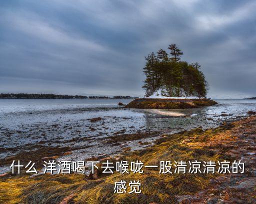 洋酒搭配穿搭夏天裙子