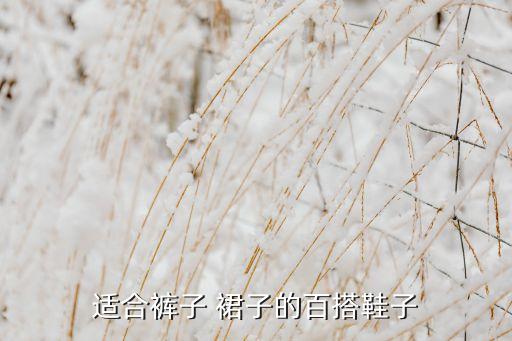 适合裤子 裙子的百搭鞋子