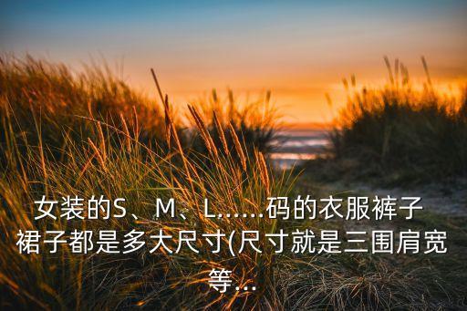 女装的S、M、L……码的衣服裤子 裙子都是多大尺寸(尺寸就是三围肩宽等...