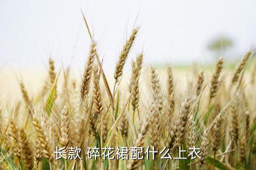 长款 碎花裙配什么上衣