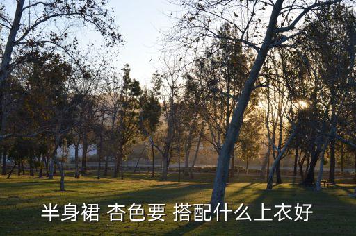杏色的裙子如何搭配,杏色半身裙搭配图片