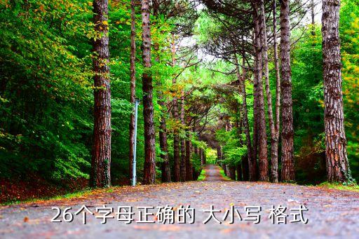 汉语拼音字母表大小写格式写法,四线三格26个拼音字母表