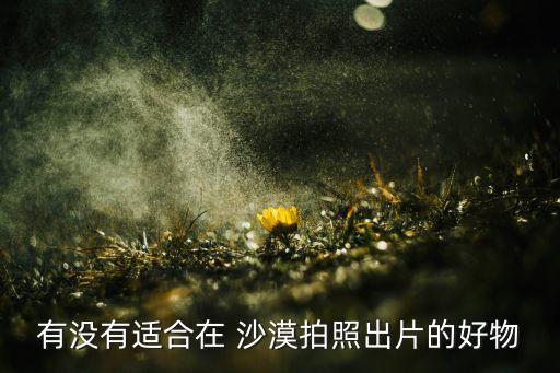 有没有适合在 沙漠拍照出片的好物