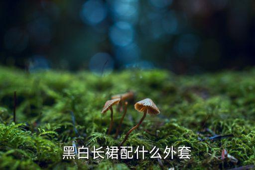 黑白长裙配什么外套
