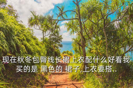 现在秋冬包臀线长裙上衣配什么好看我买的是 黑色的 裙子,上衣要搭...