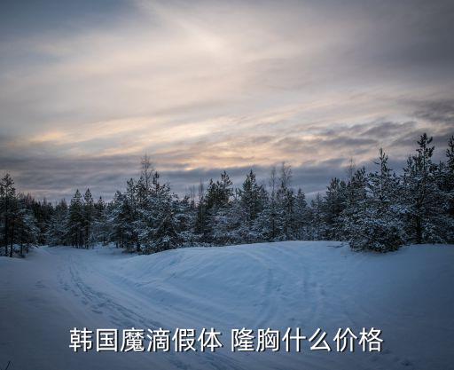韩国魔滴假体 隆胸什么价格