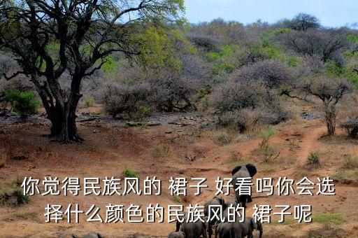 你觉得民族风的 裙子 好看吗你会选择什么颜色的民族风的 裙子呢