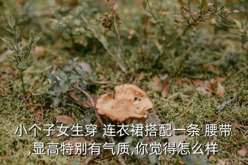 小个子女生穿 连衣裙搭配一条 腰带,显高特别有气质,你觉得怎么样