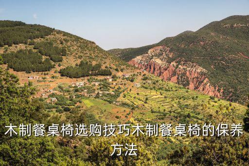 木制餐桌椅选购技巧木制餐桌椅的保养方法