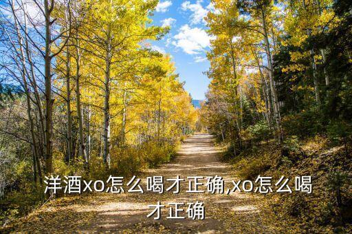  洋酒xo怎么喝才正确,xo怎么喝才正确
