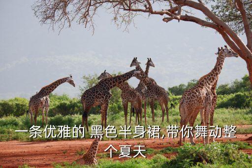 一条优雅的 黑色半身裙,带你舞动整个夏天