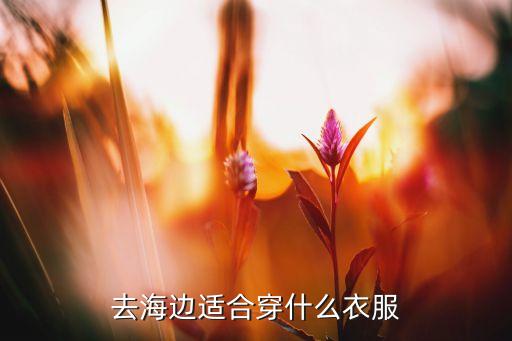 去海边适合穿什么衣服