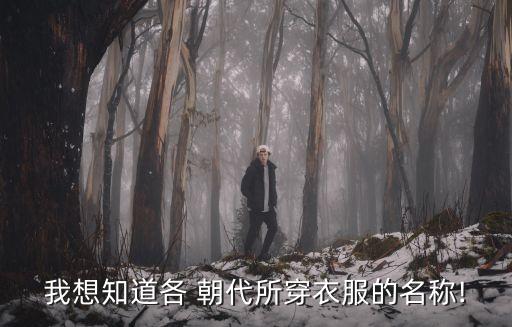我想知道各 朝代所穿衣服的名称!