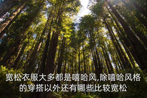 宽松衣服大多都是嘻哈风,除嘻哈风格的穿搭以外还有哪些比较宽松