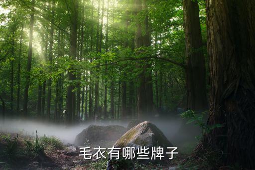  毛衣有哪些牌子