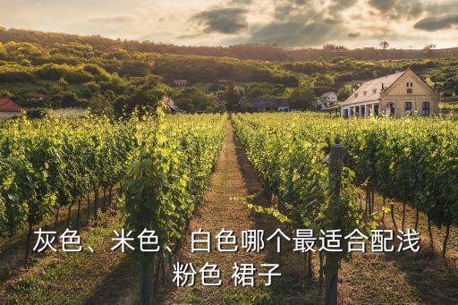 粉色裙子还是灰色裙子好看,灰色裙子和卡其色裙子哪个好看