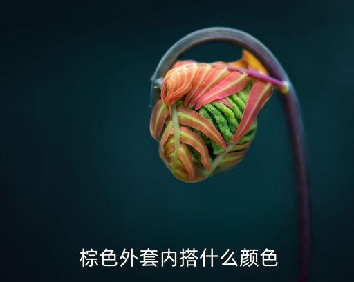  棕色外套内搭什么颜色