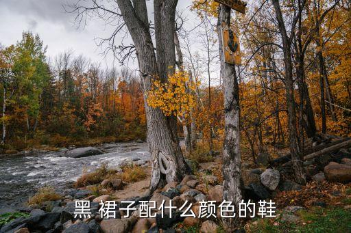 黑 裙子配什么颜色的鞋