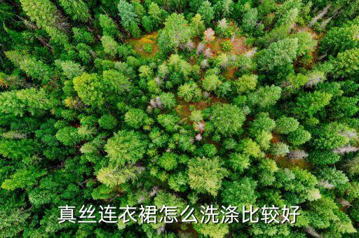 真丝连衣裙怎么洗涤比较好