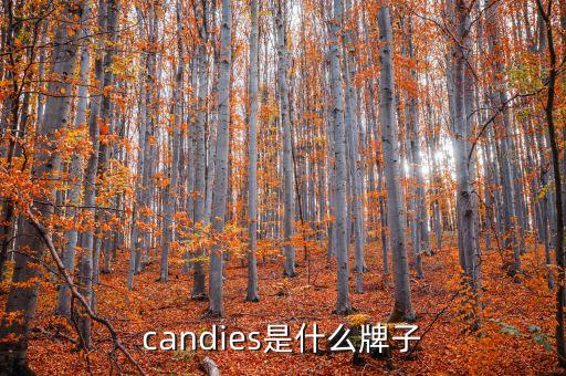 拉夏贝尔 针织衫裙子